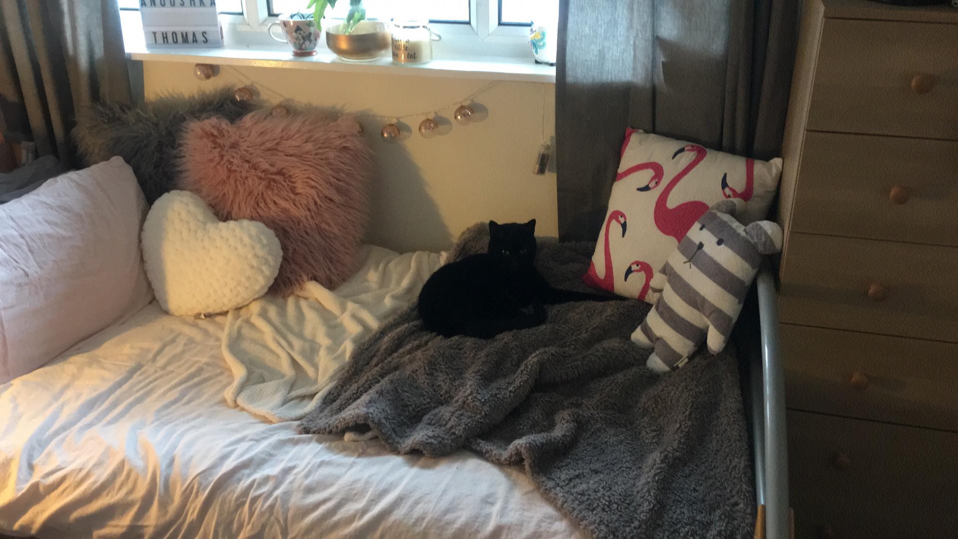 IMG 3104 Whiskas Date Night...with Thomas! #AD