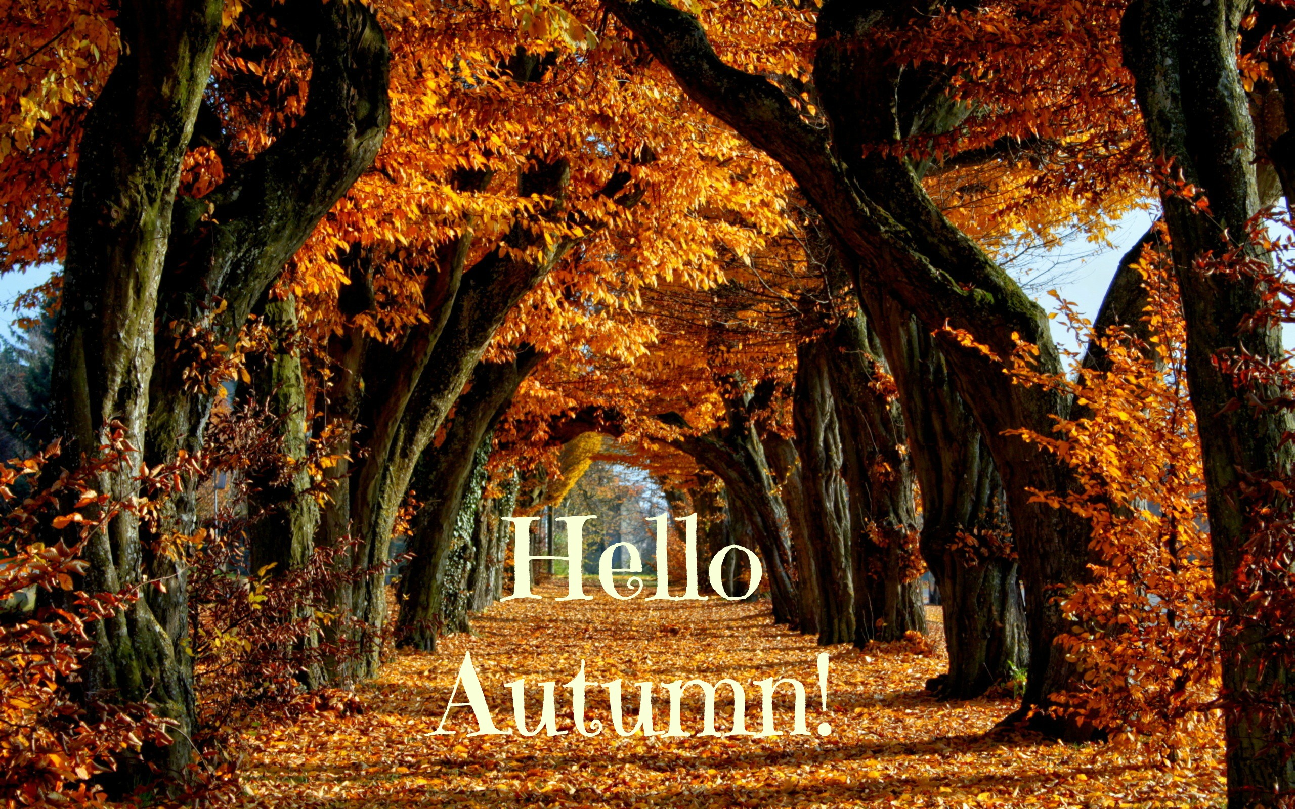 The Autumn Tag