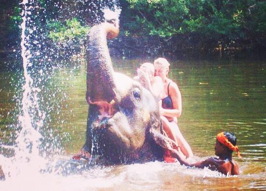 30 Bucket List Items to Swipe Immediately