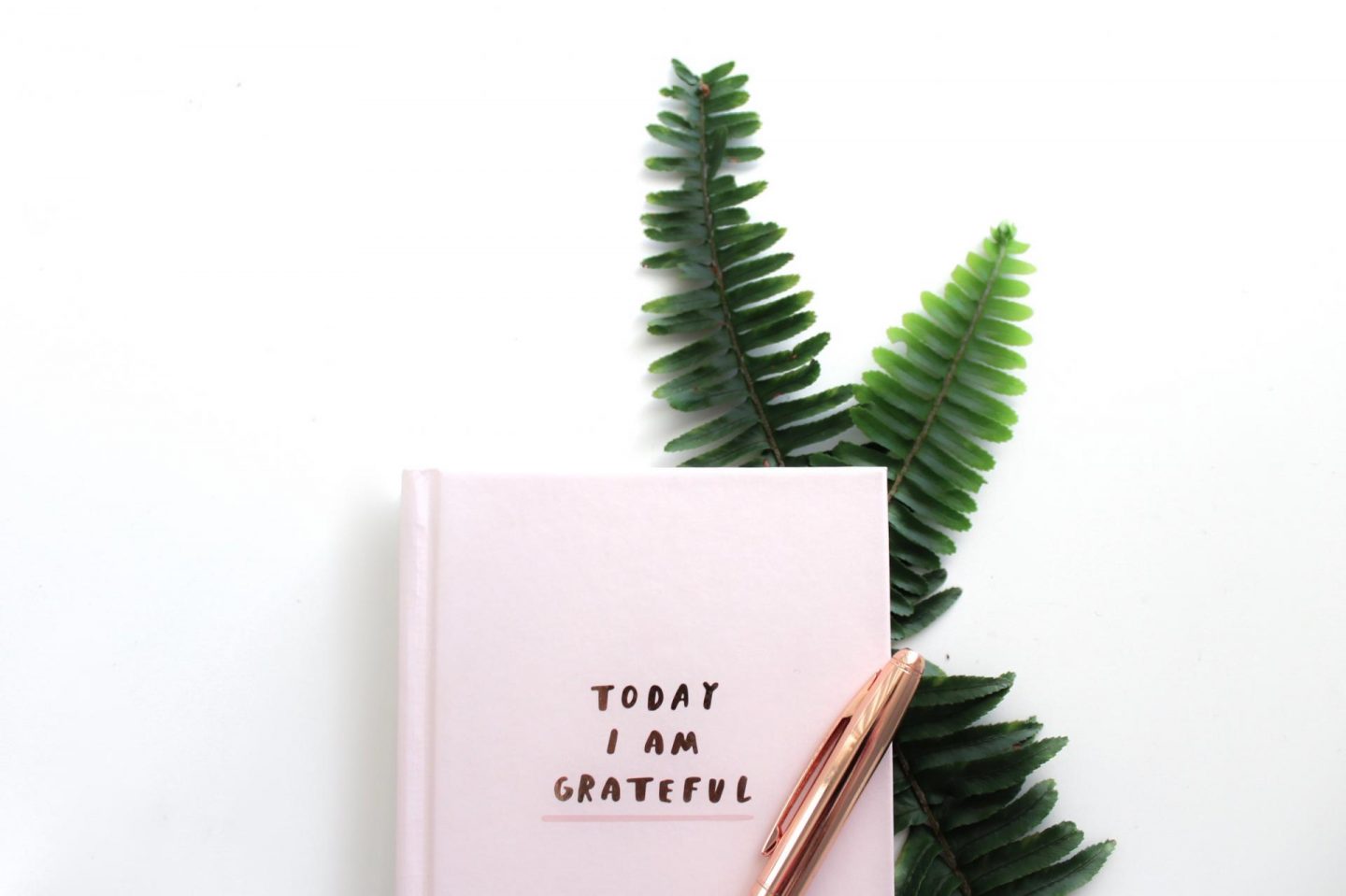 gabrielle henderson 739125 unsplash beauty industry The Truth About The Blogging Industry.