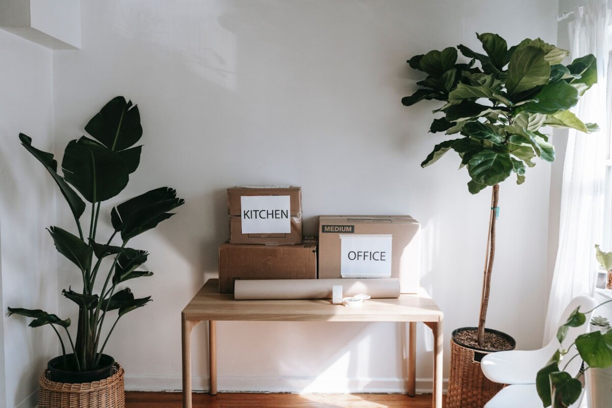 image travelling How To Have A Positive Experience Moving House