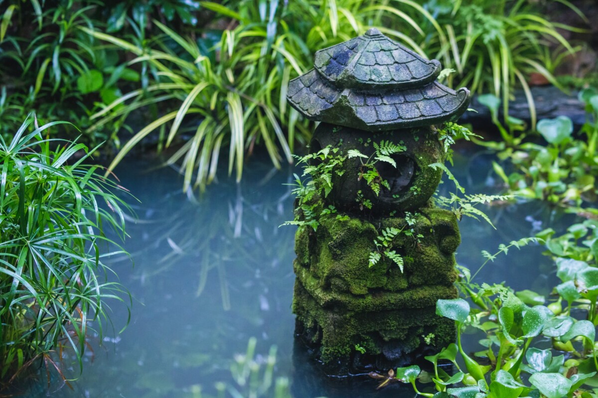 green plants beside body of water
