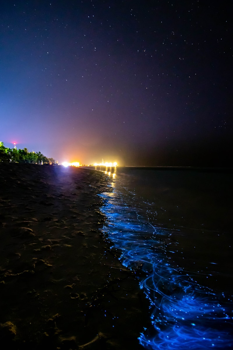 a night time view of a beach with lights in the water